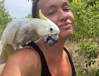 Фотограф из Новочеркасска спасает попугаев со всей России и даёт им новый дом